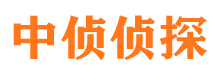 东安市调查公司